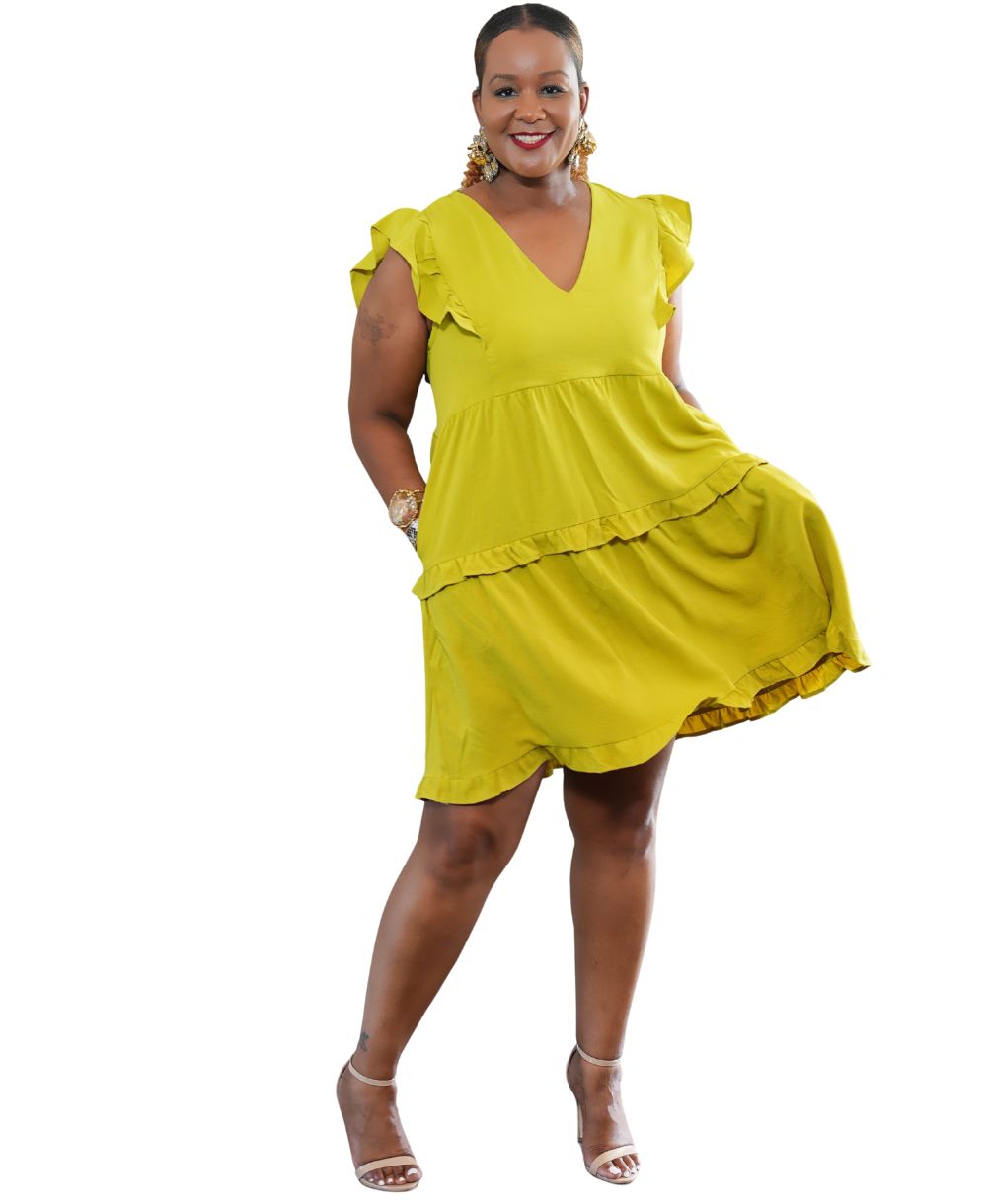 Ruffle Sleeve V-Neck Dress