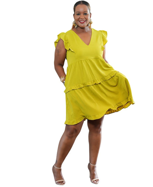 Ruffle Sleeve V-Neck Dress